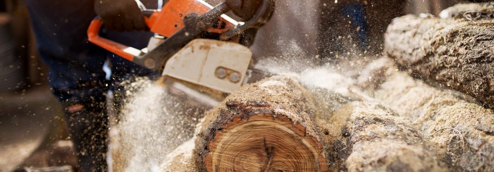 Dangers of Wood Dust: Close up of a lumberjack cutting old wood with a chainsaw.